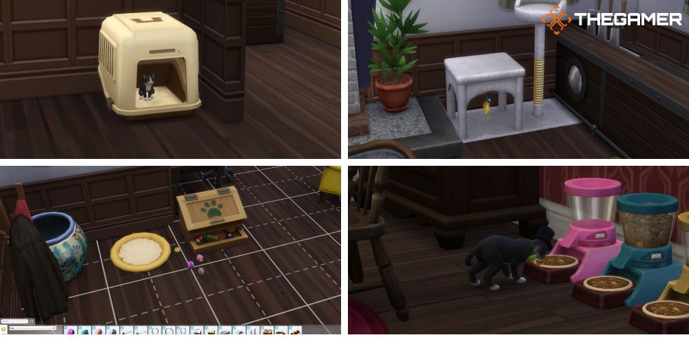 The Sims 4 Cats and Dogs: вверху слева: туалетный лоток, вверху справа: когтеточка, внизу слева: кровать и игрушки, внизу справа: миска для еды.