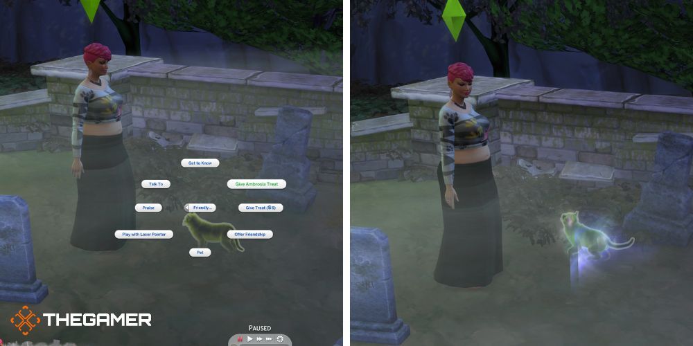 The Sims 4 Cats and Dogs: вы даете кошке дух амброния, чтобы воскресить ее.