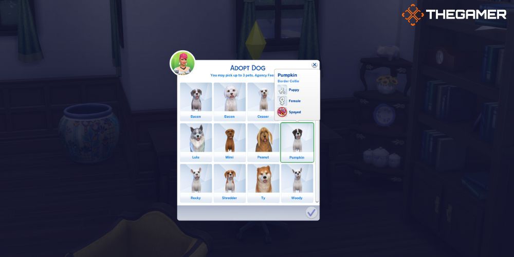 The Sims 4 Kočky a psi: Menu pro výběr psa k adopci