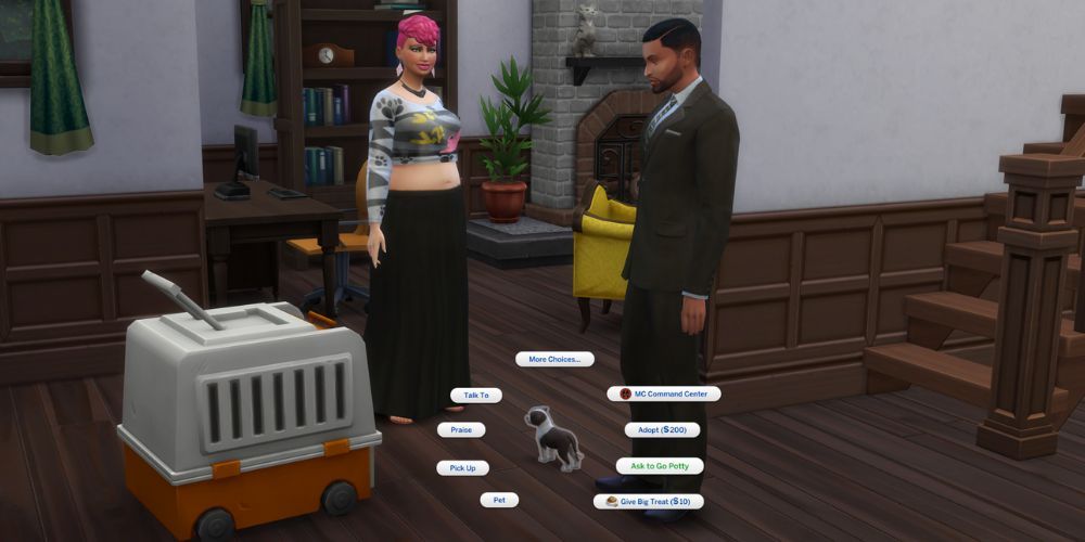 The Sims 4 Кошки и собаки: стоим в доме с агентом по усыновлению и щенком, готовым к усыновлению.