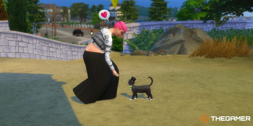 The Sims 4 Cats and Dogs: Встреча с бездомным котом