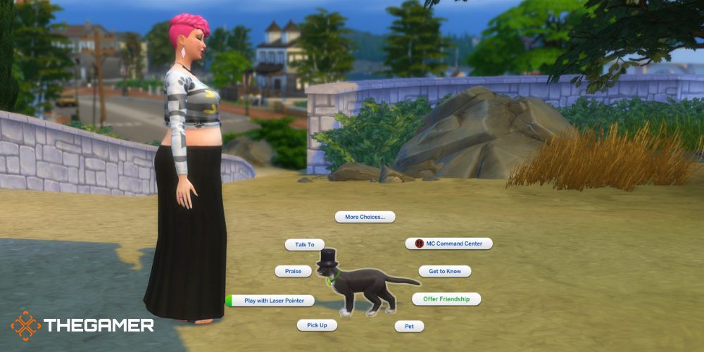 The Sims 4 Cats and Dogs: предложите дружбу бездомному коту