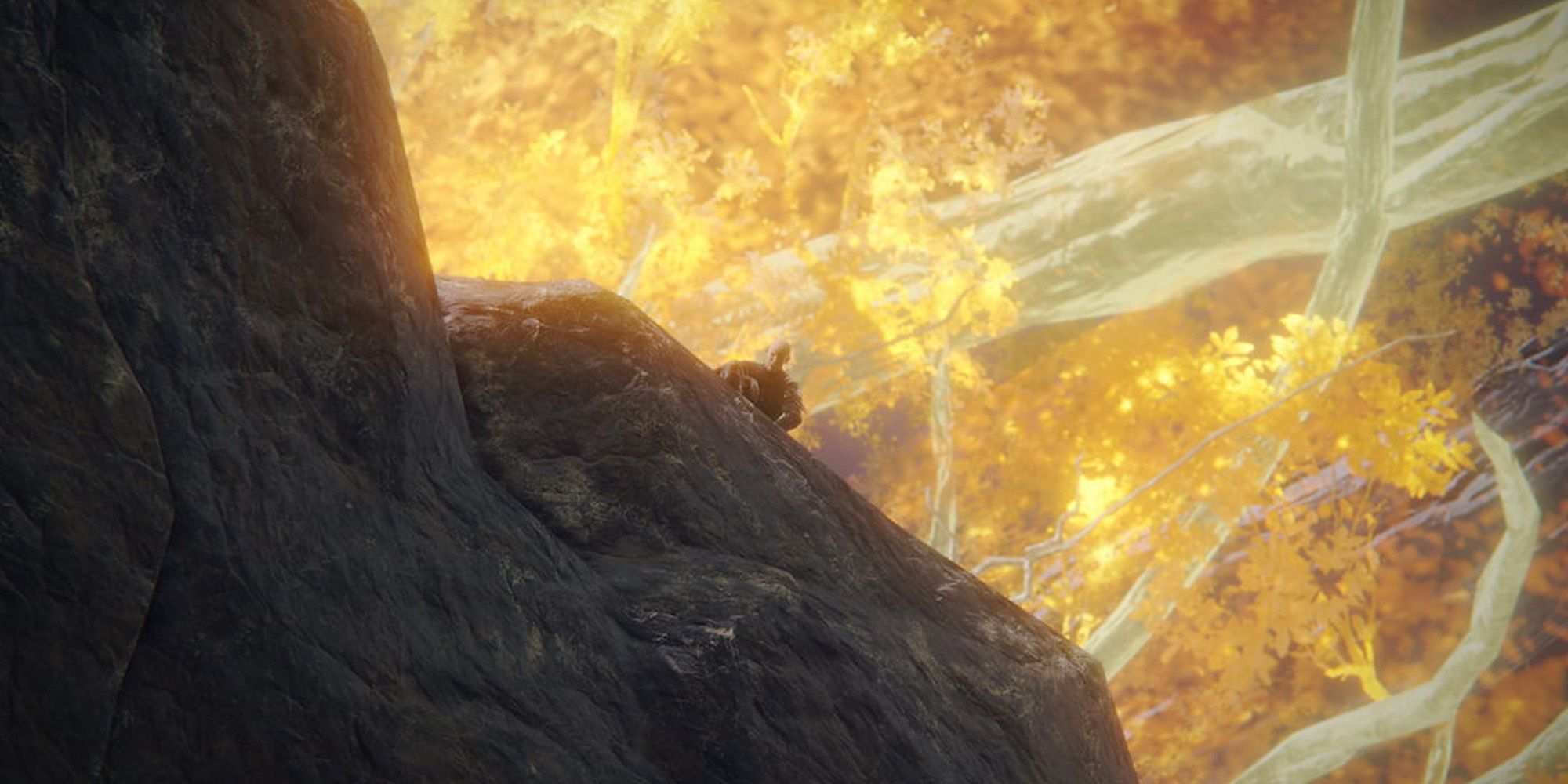 Скриншот кат-сцены, где Патч выгоняет персонажа игрока с горы Гельмер.