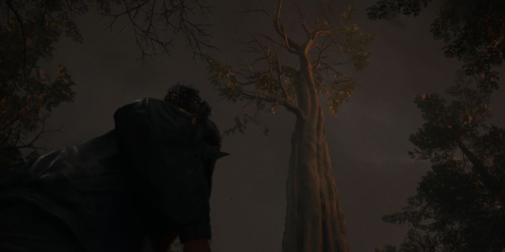 Очень низкий ракурс: Сага Андерсон приближается к Ведьме, гигантскому дереву, в Alan Wake 2