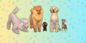 Подробнее о статье The Sims 4: Как создать собаку