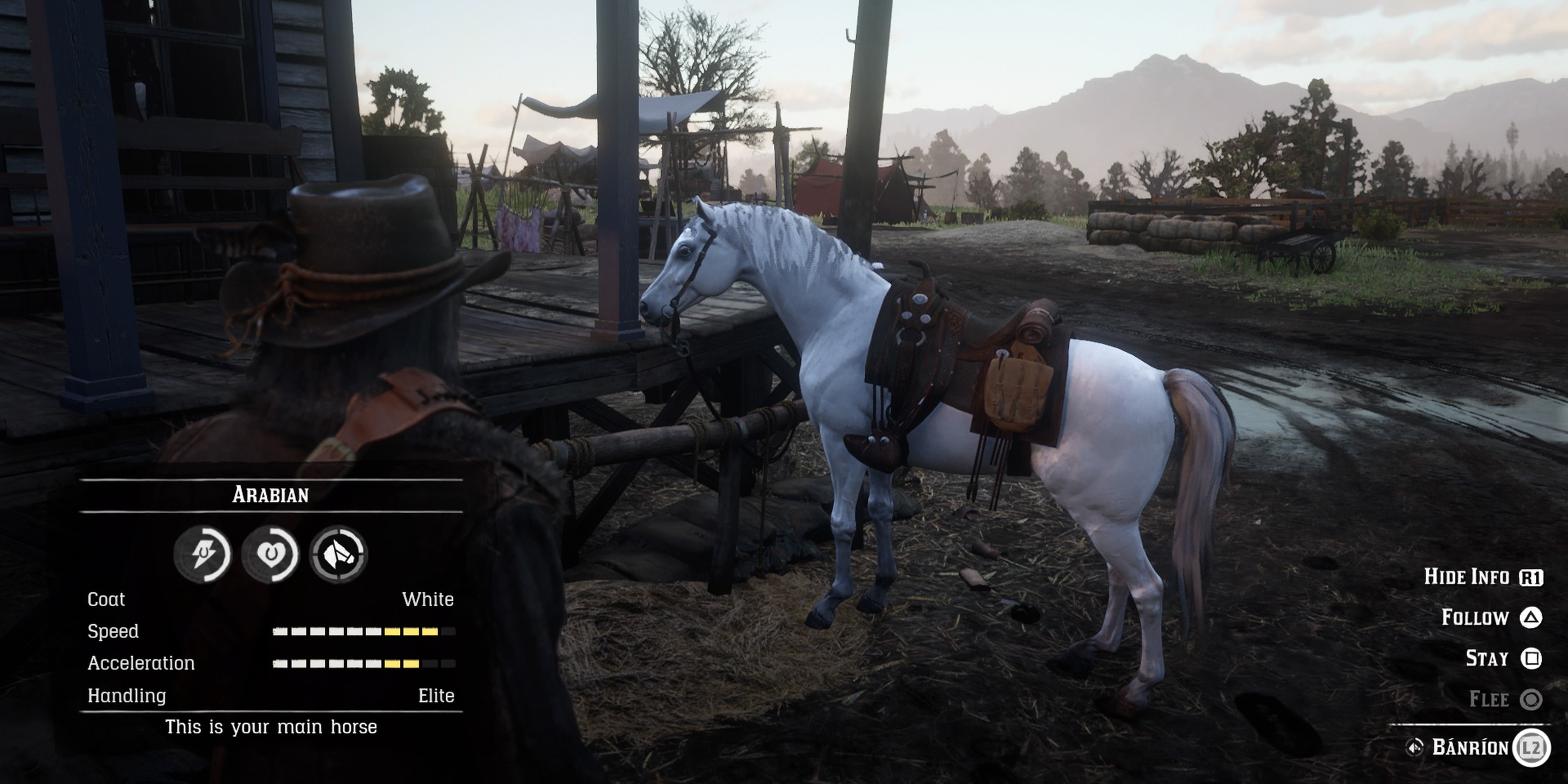 Red Dead Redemption 2: Белая арабская лошадь по имени Банрион. Статистика просматривается возле Валентина