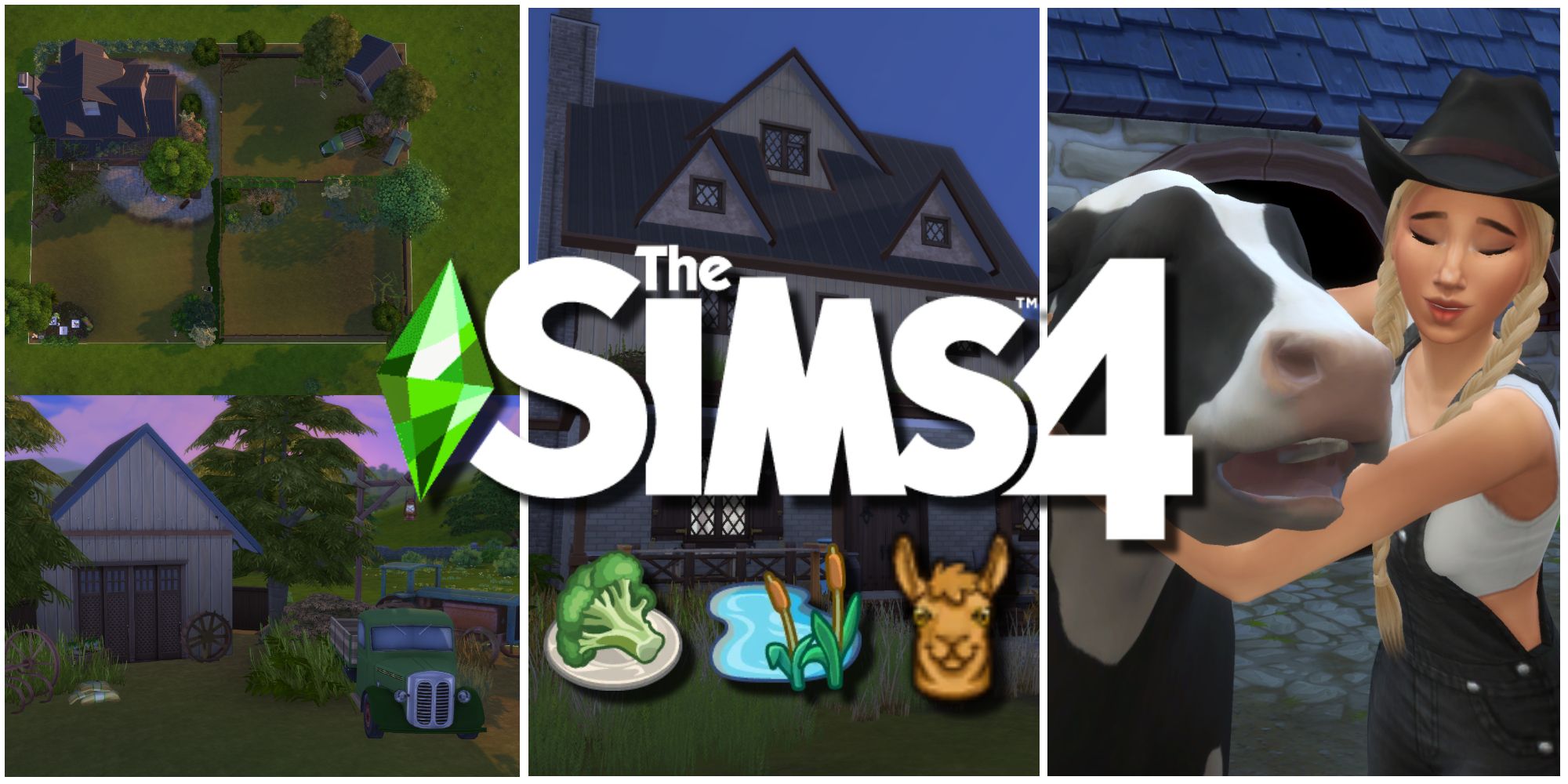 Подробнее о статье The Sims 4: Как выполнить «Цветочное испытание»