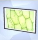 На скриншоте Sims 4 виден микроскопический отпечаток под названием Blemish Blossom.