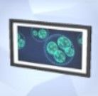 На скриншоте игры Sims 4 виден микроскопический отпечаток под названием Хупапланктон.