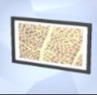 На скриншоте Sims 4 виден микроскопический отпечаток под названием Leaf Meat.