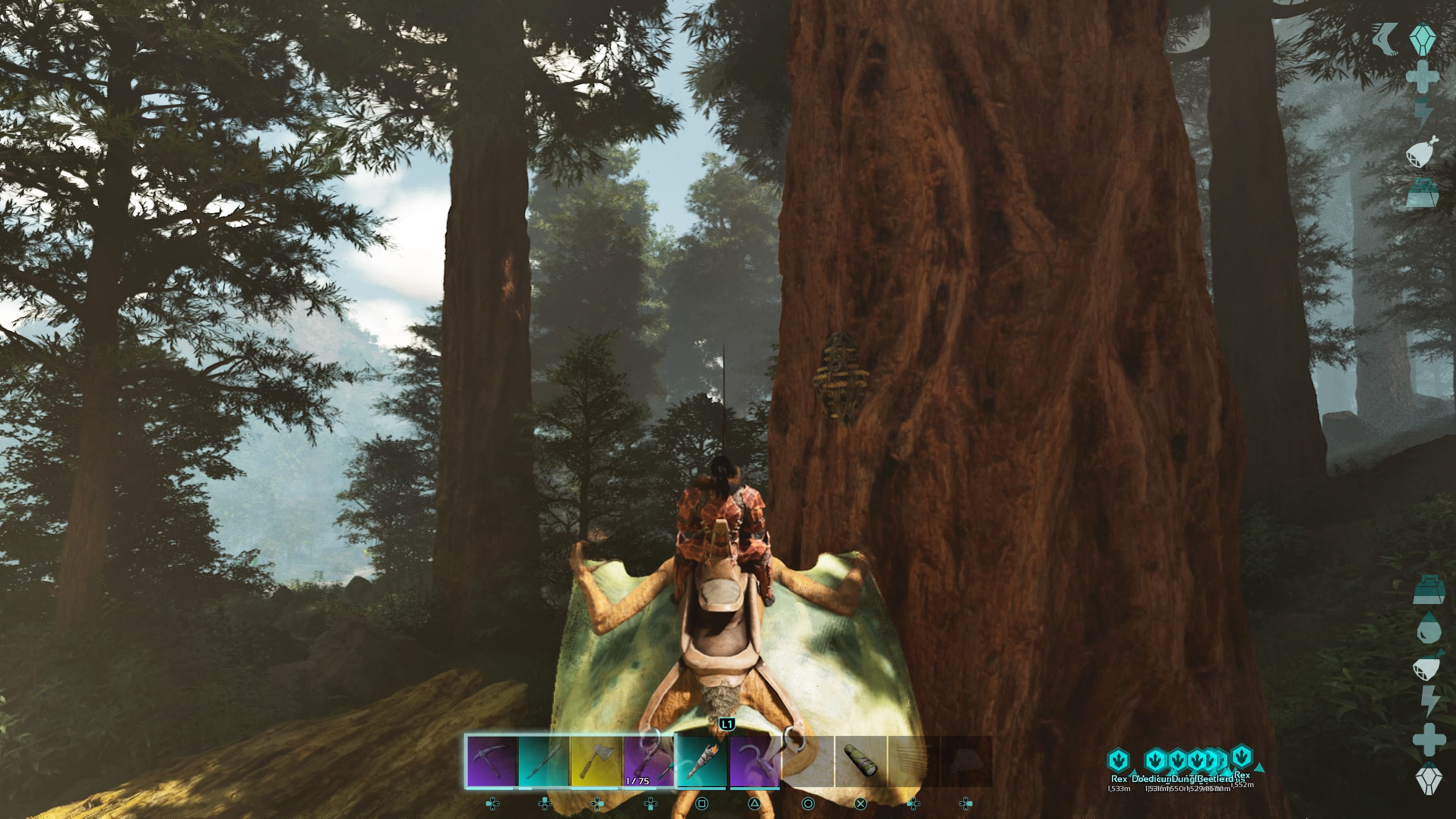Персонаж игрока в хитиновых доспехах верхом на Тапежаре и пролетает на нем рядом с Ульем на гигантском красном дереве в Ark: Survival Ascended.