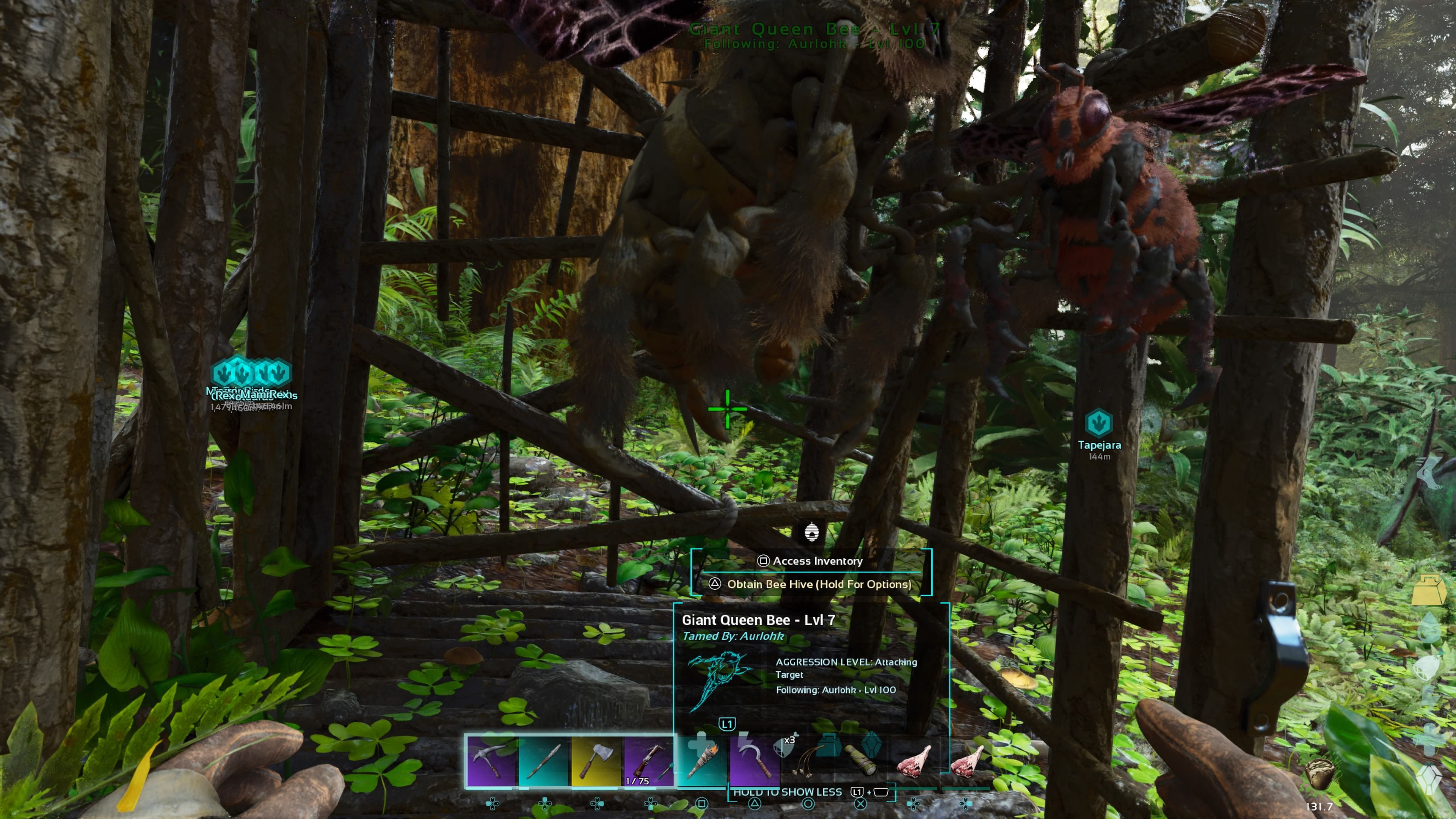 Персонаж игрока стоит перед недавно прирученной гигантской пчелиной маткой в ​​деревянной клетке в Ark: Survival Ascended.