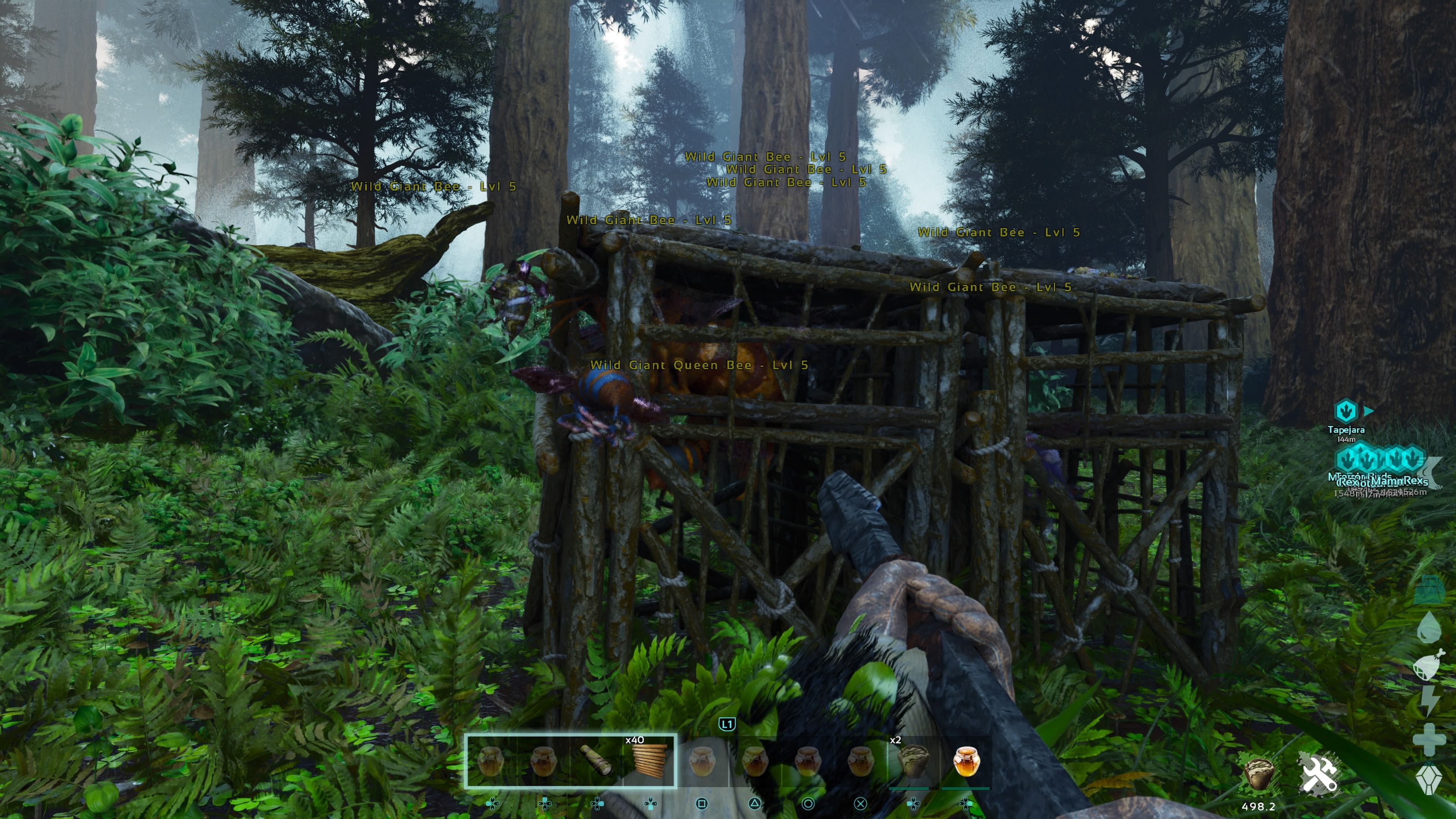 Персонаж игрока стоит с щукой в ​​руках и смотрит на дикую гигантскую пчелиную матку в деревянной клетке в Ark: Survival Ascended.