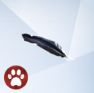 Изображение из The Sims 4 Cats And Dogs с пером вороны