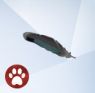 Изображение из The Sims 4 Cats And Dogs с утиным пером