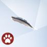 Изображение из The Sims 4 Кошки и собаки с пером цапли