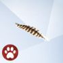 Изображение из The Sims 4 Cats And Dogs с пером фазана