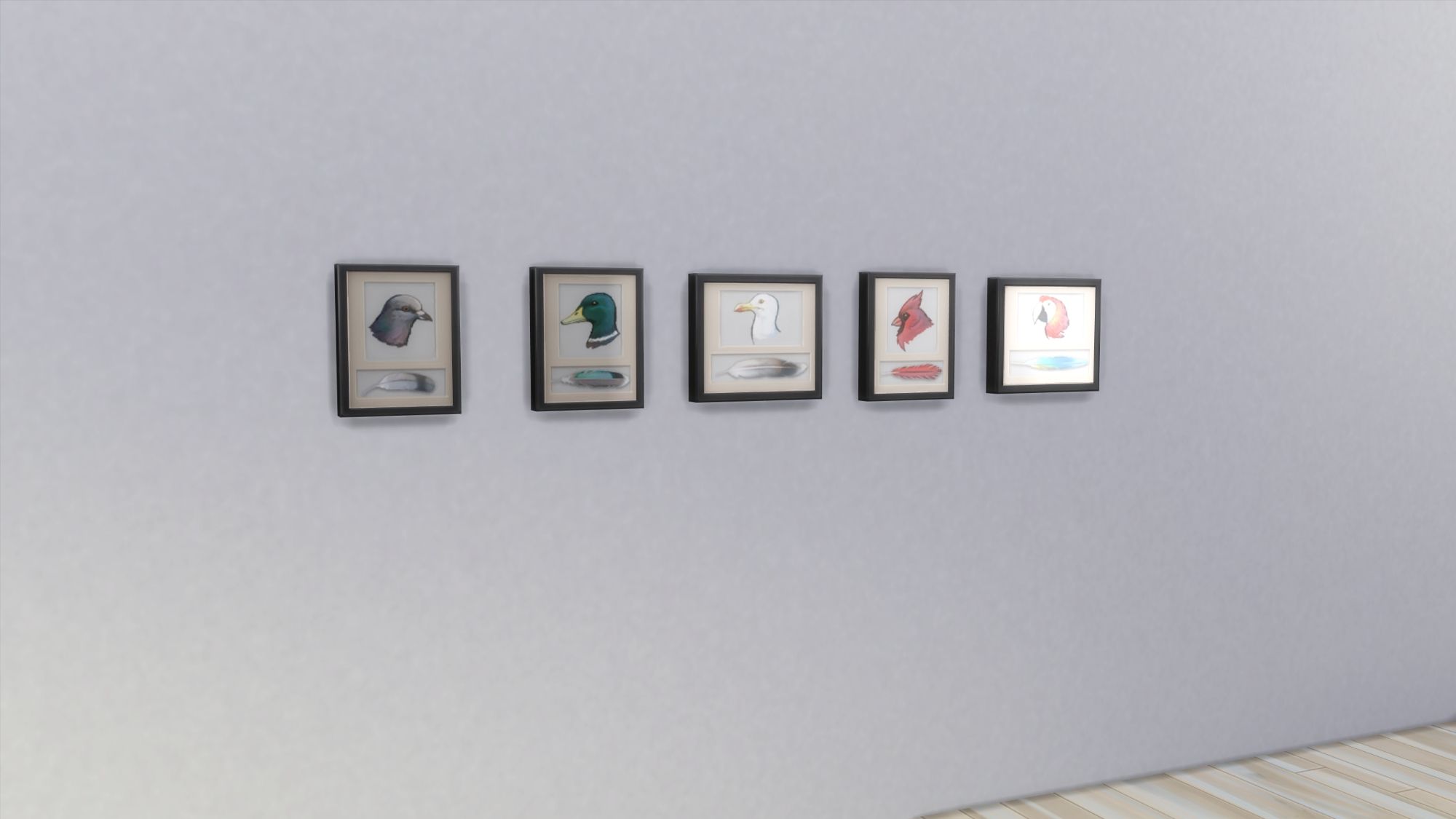 Изображение выставки перьев из Sims 4, на которой на стене висят таблички с изображением пяти разных птиц и их перьев.