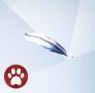 Изображение пятнистого пера Сиксама из The Sims 4 Cats And Dogs