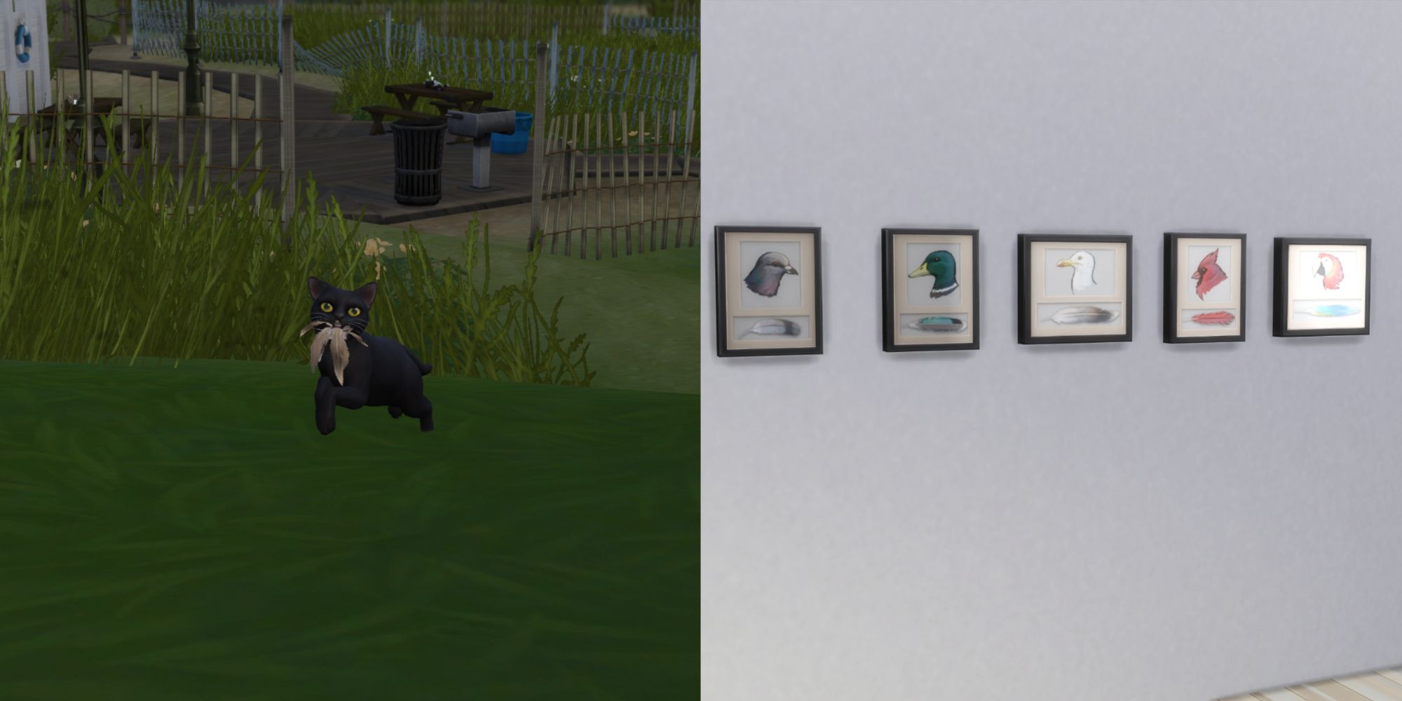 Вы сейчас просматриваете The Sims 4: Cats & Dogs — Как собрать коллекцию перьев